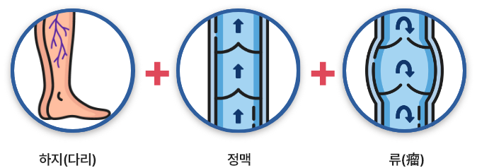 하지정맥류 자가진단