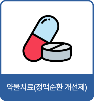 약물치료(정맥순환 개선제)